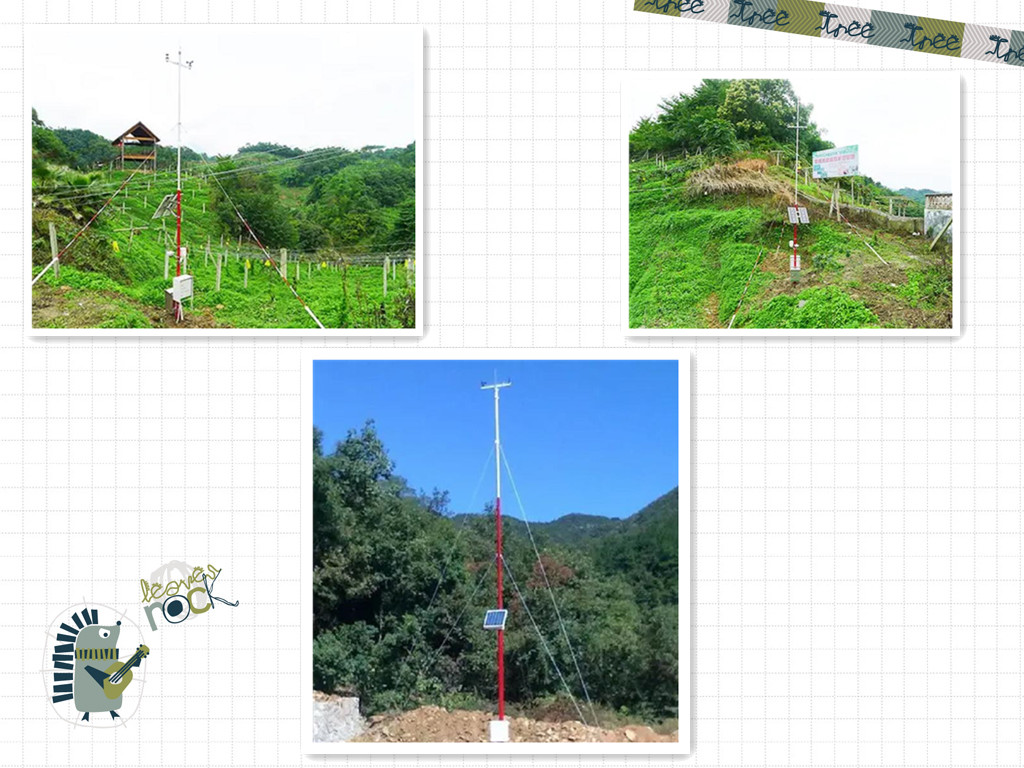 森林氣象站如何預防秋冬季節的森林火災發生(圖1)