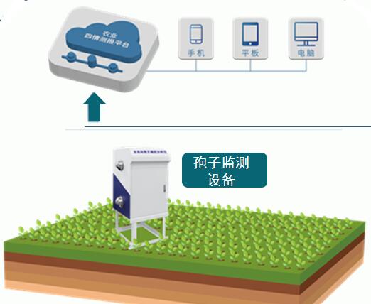 智能孢子遠(yuǎn)程監(jiān)測系統(tǒng)(圖4)