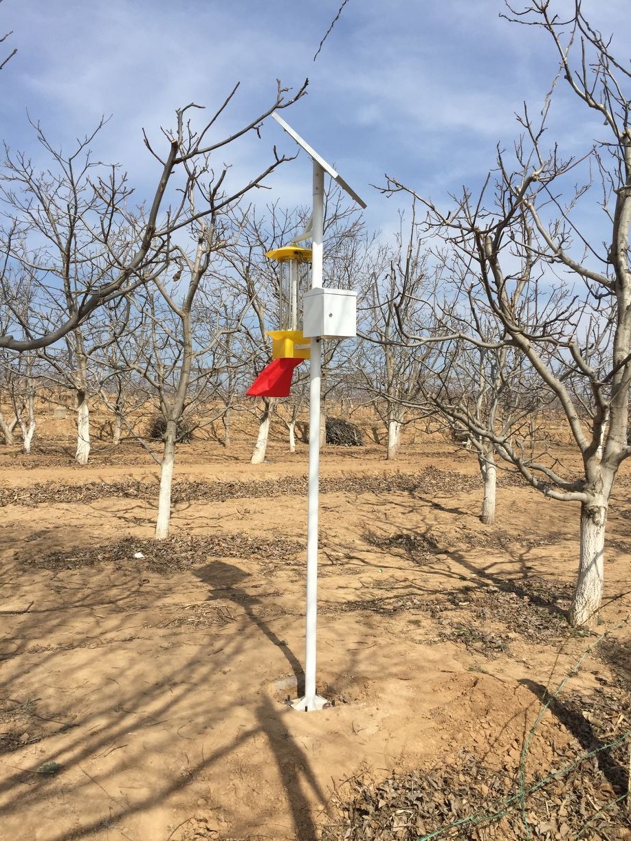 智慧物聯網殺蟲燈(圖1)