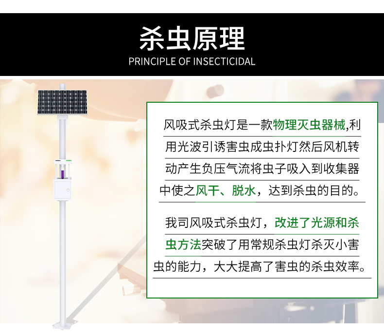 風吸式殺蟲燈(圖6)